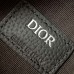 Dior Mini Scarab replica