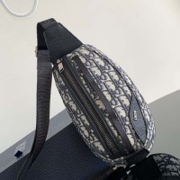 Mini Dior Scarab Bag