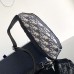 Mini Dior Scarab Bag details