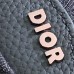 Mini Dior Bag with scarab design