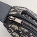 Dior Scarab Bag side angle