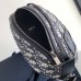 Dior Scarab Bag top handle