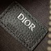 Dior Scarab Bag luxury
