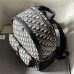 Chic Replica Dior 8 Backpack for school