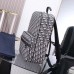 Replica Dior Safari Backpack