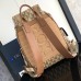 Replica Large Dior Hit The Road Backpack brown