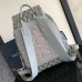 Replica Large Dior Hit The Road Backpack gray