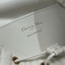 Dior Caro Backpack replica