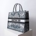 dior around the world book tote
