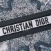 dior around the world tote bag