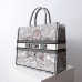 dior around the world book tote