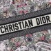 Large Dior Book Tote dhgate