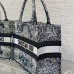dior around the world book tote