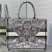 dior around the world book tote replica