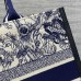 Dior Book Tote medium