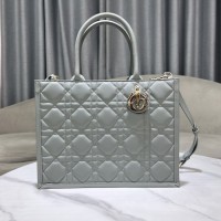 Dior Book Tote Stone Gray