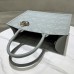 Dior Book Tote Stone Gray