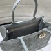 Dior Book Tote Stone Gray