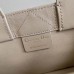 Stylish Dior Book Tote