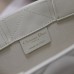 Mini Dior Tote replica details