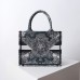 dior around the world book tote