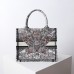 dior around the world book tote