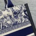 Small Dior Book Tote replica