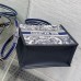 Dior Book Tote small