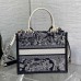 Small Dior Book Tote