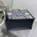 Small Dior Book Tote dhgate