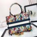 Stylish Replica Small Dior Book Tote in Classic Design