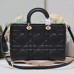 Replica Large Lady D-Sire Bag front view