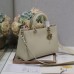 Medium Lady D-Sire Bag price