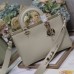 Lady D-Sire Bag price