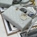 Dior Medium Lady D-Joy Bag gray