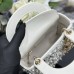 Lady Dior Bag price
