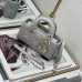 Dior Lady D-Joy Micro Bag gray