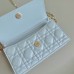 Dior Placid Blue Mini Bag