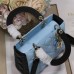 Small Lady Dior bag replica