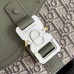 Fashionable Dior Small Saddle Messenger Bag with adjustable strap
