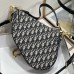  Dior Saddle Bag with Strap price