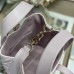 Compact Size of Replica Dior Vertical Tote vs Smartphone & Wallet