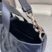 Dior Toujours Vertical Tote Bag