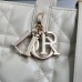 Dior Toujours Vertical Tote Bag Medium