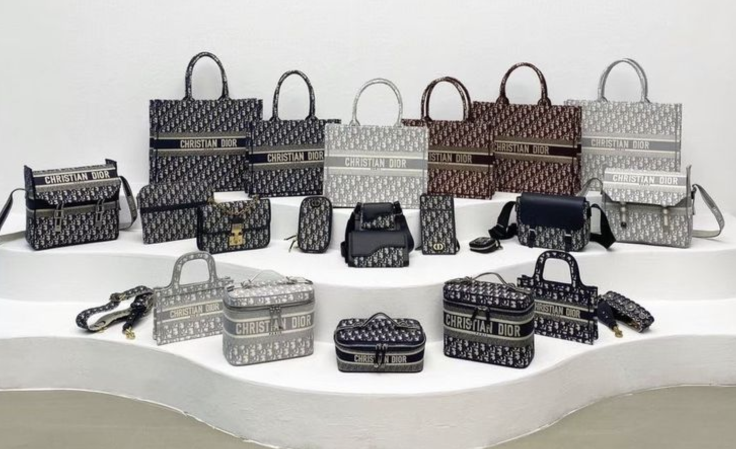 Elegant Dior Bag Replica in Replica Christian Dior handbags